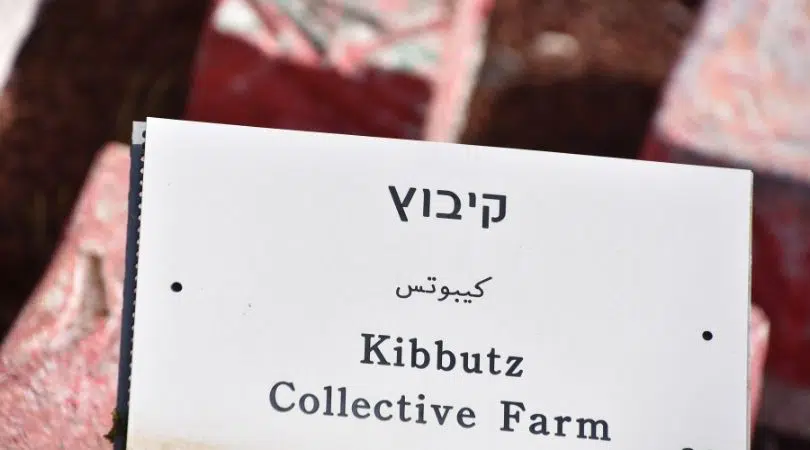 aliyah israel kibbutz